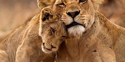 QUEEN ELIZABETH NATIONAL PARK HISTORY