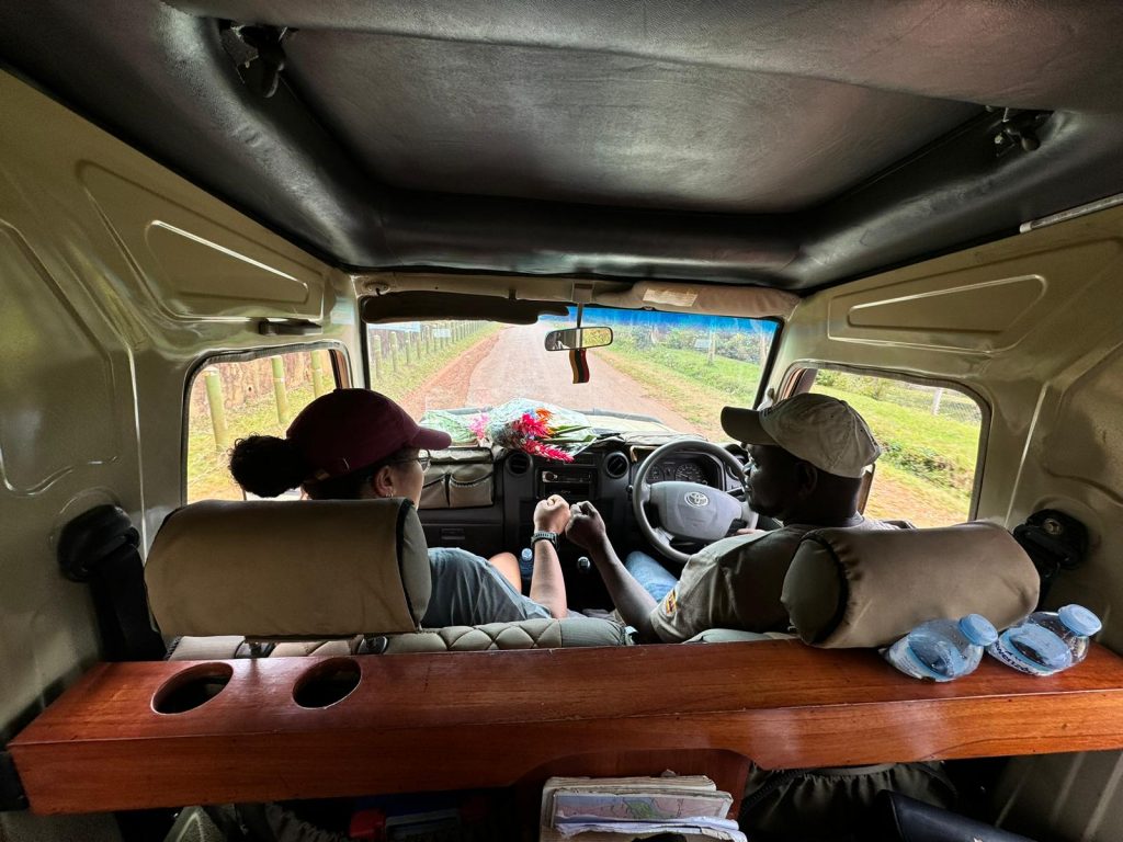 Driver guide during game drive safari Uganda car hire